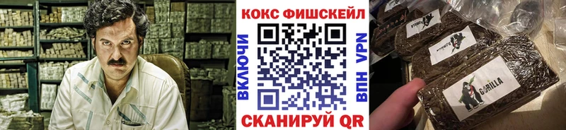COCAIN FishScale  Купить закладки  Короча 
